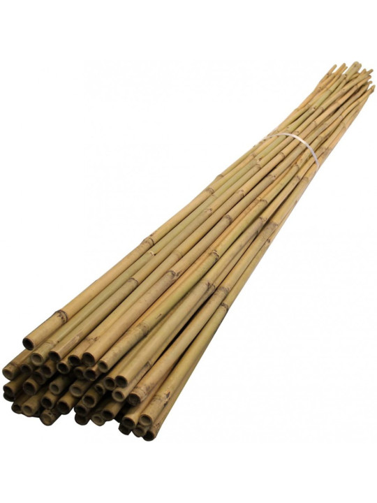 Bambu Bahçe Bitki Destek Çubuğu 150 cm 20 Adet kamış hasır